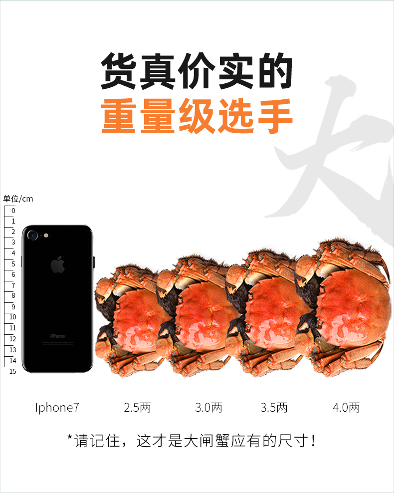详情页5.jpg