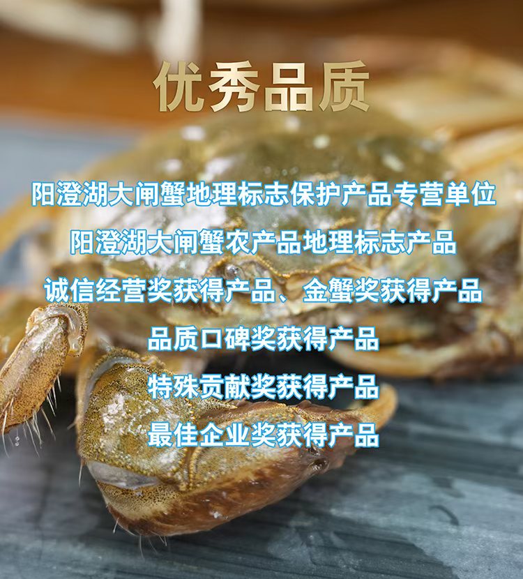 详情页2.jpg