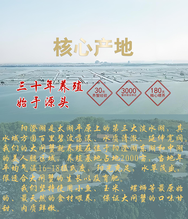 详情页1.jpg