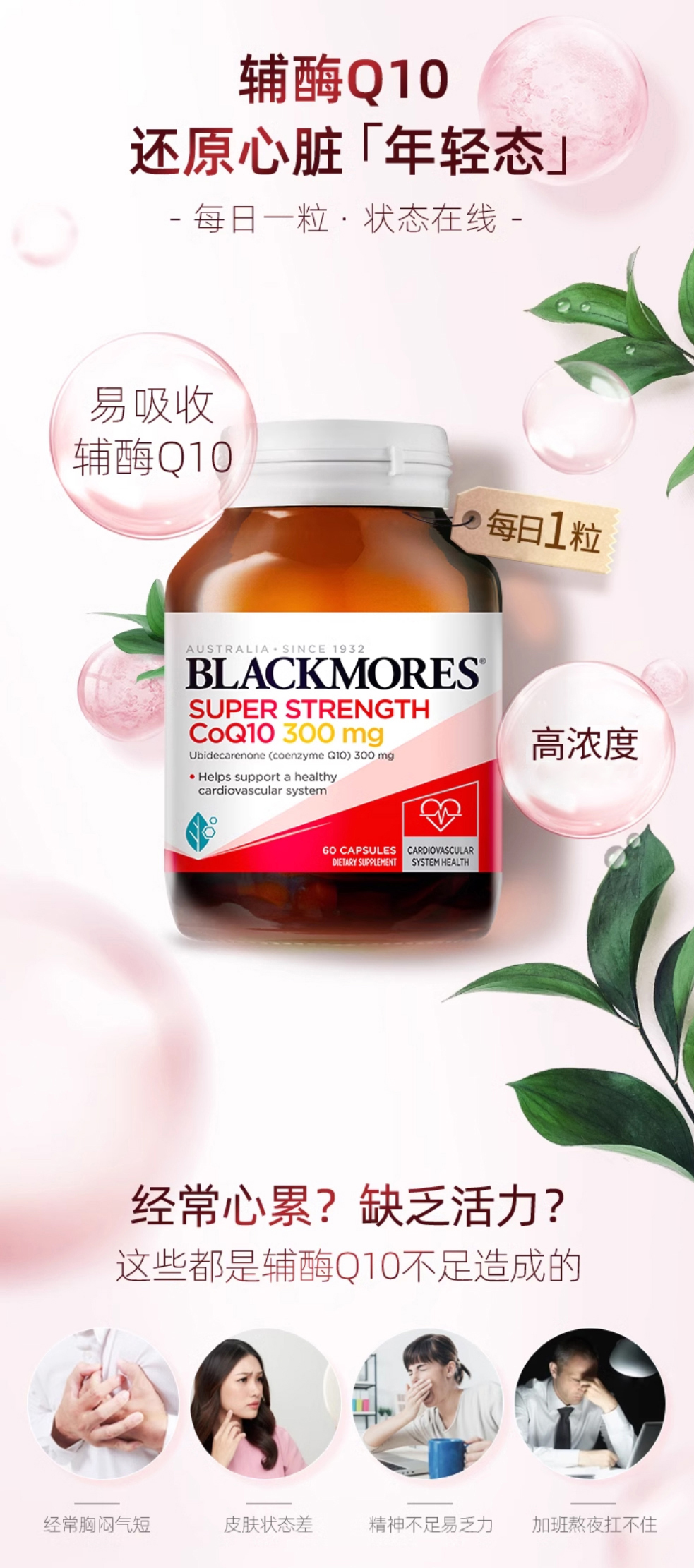 详情页整体图01.jpg